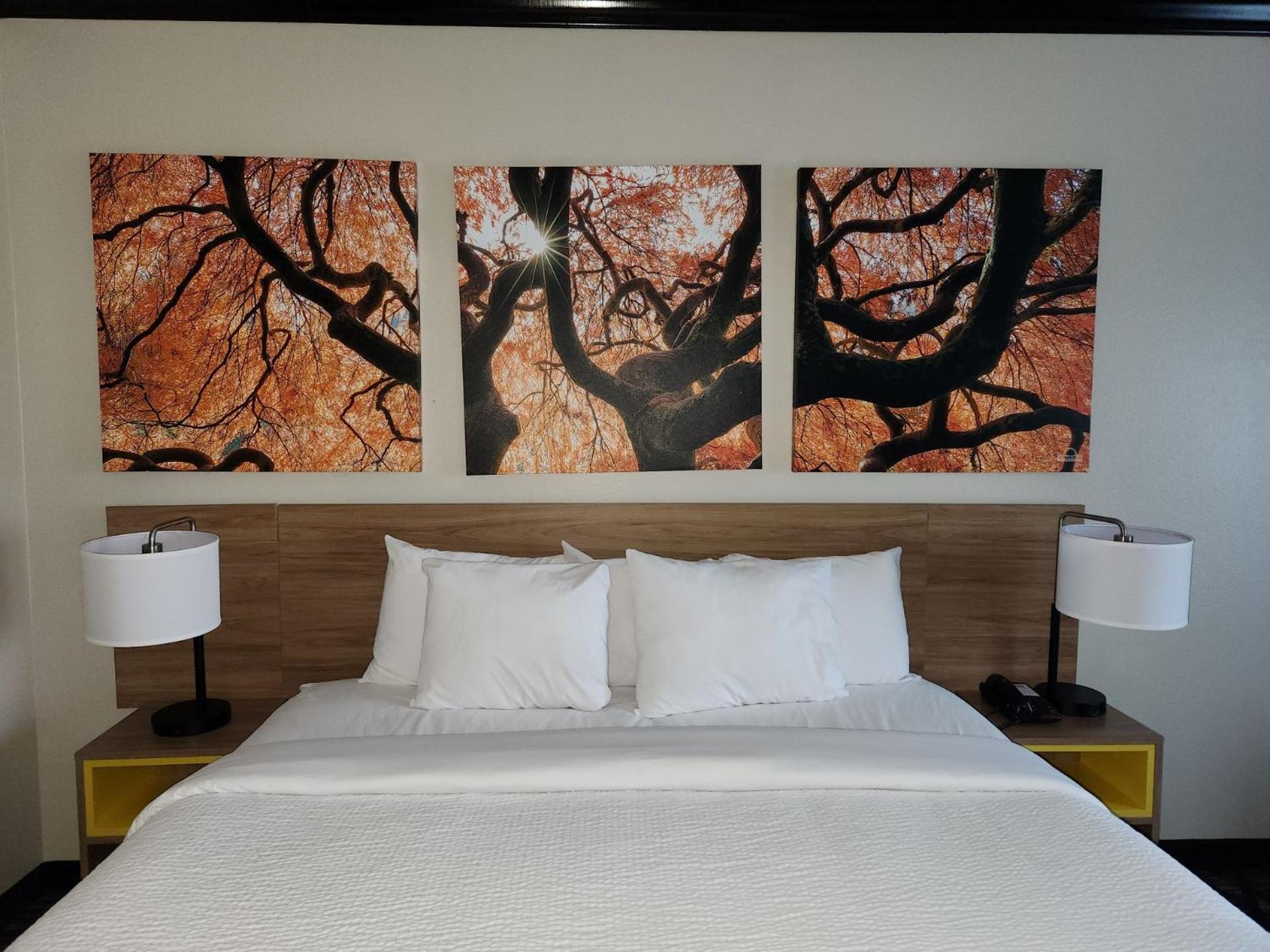 Days Inn By Wyndham Baton Rouge I-10 Prairieville Bagian luar foto