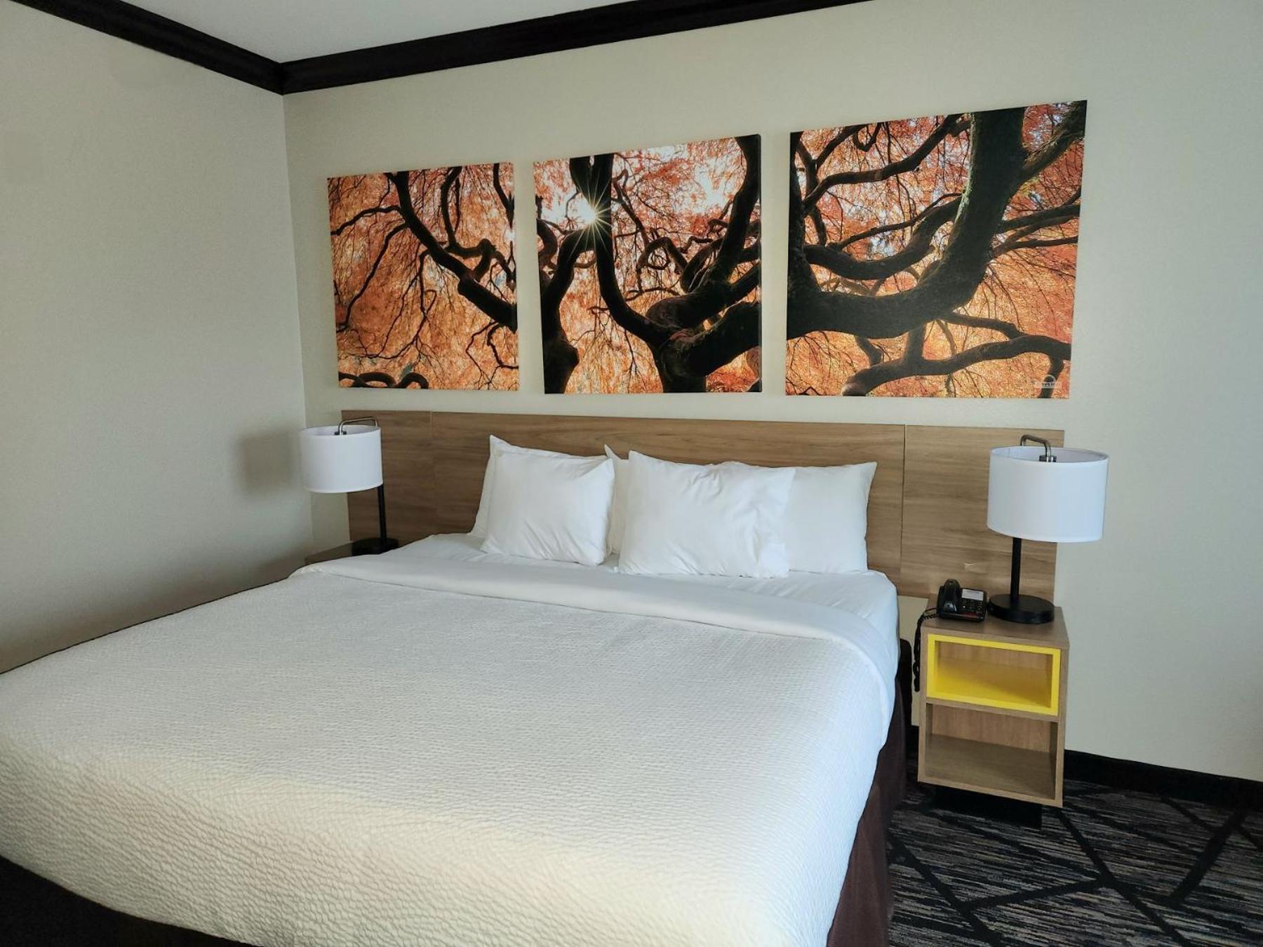 Days Inn By Wyndham Baton Rouge I-10 Prairieville Bagian luar foto